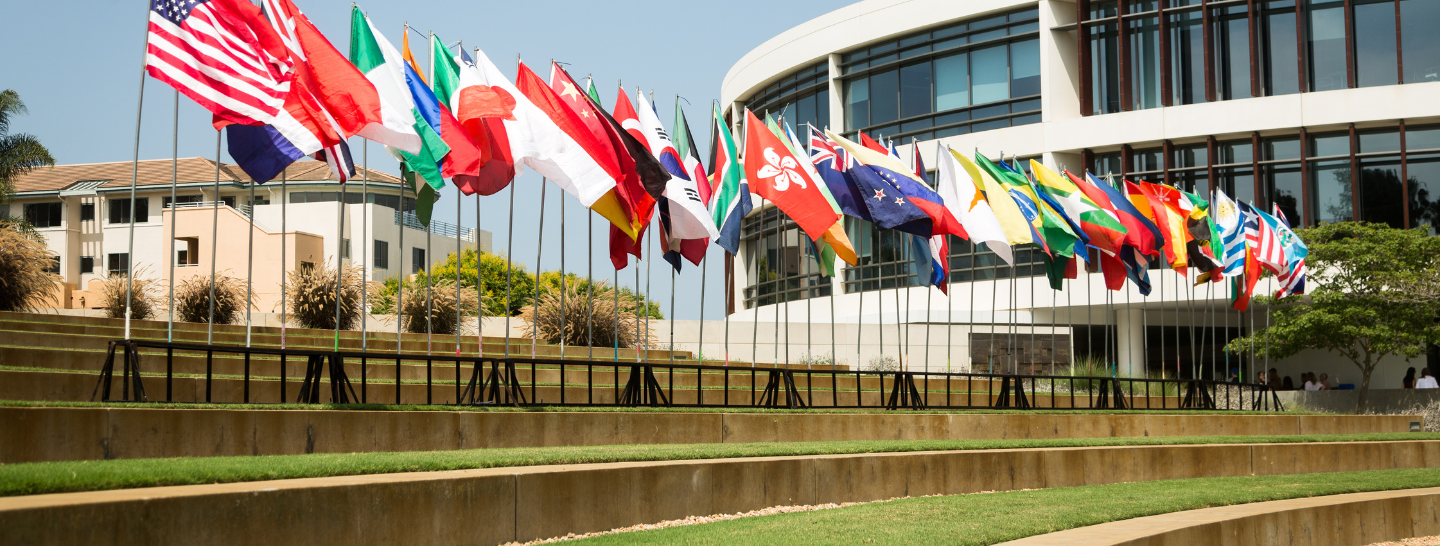 World flags next to Hannon Library